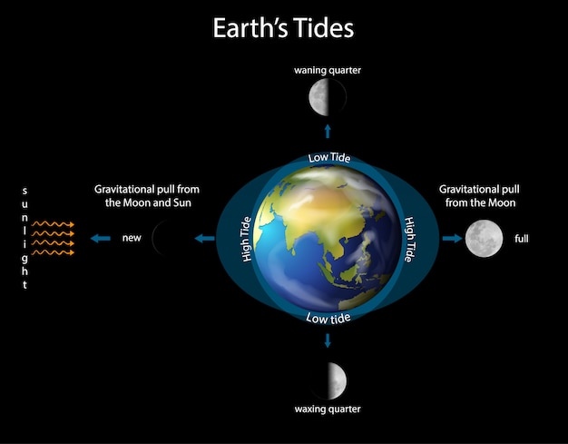 Diagrama que muestra las mareas terrestres con tierra y luna