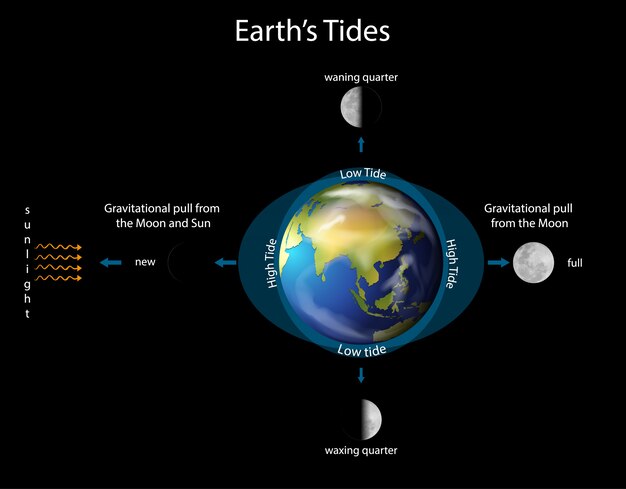 Diagrama que muestra las mareas terrestres con tierra y luna