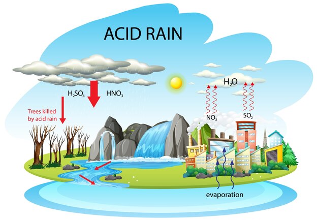 Diagrama que muestra la vía de la lluvia ácida sobre fondo blanco.
