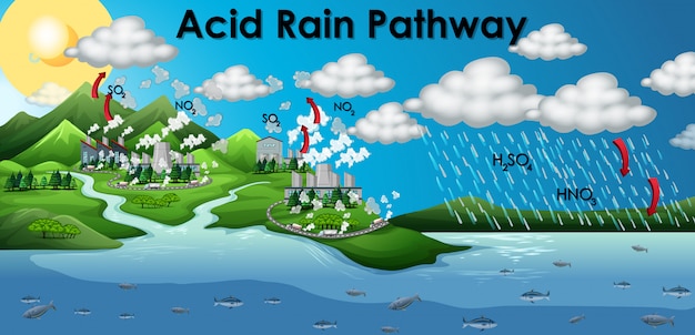 Diagrama que muestra la vía de la lluvia ácida