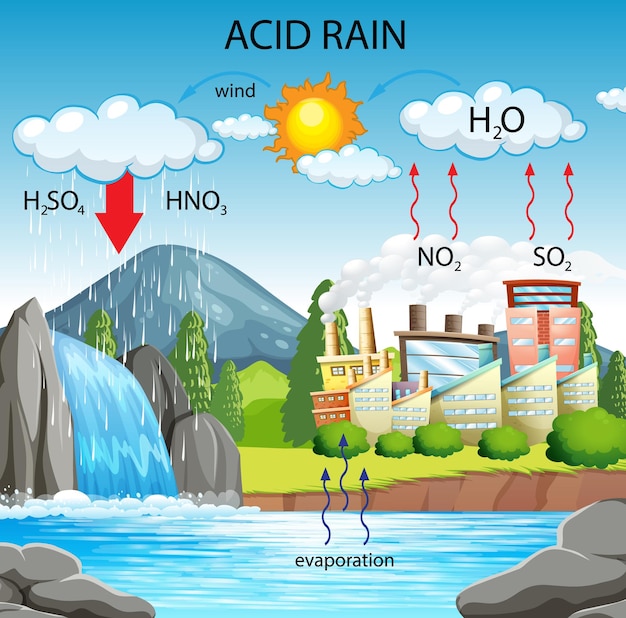 Diagrama que muestra la vía de la lluvia ácida | Vector Gratis