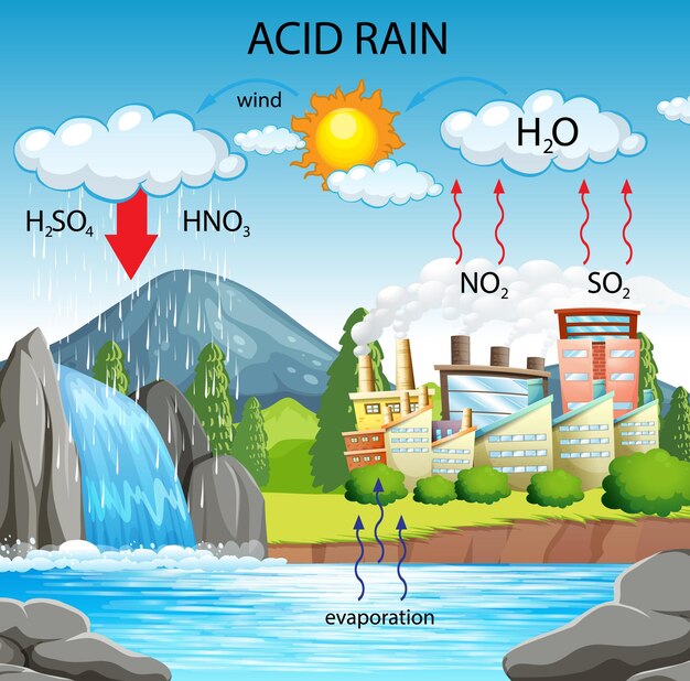 Diagrama que muestra la vía de la lluvia ácida
