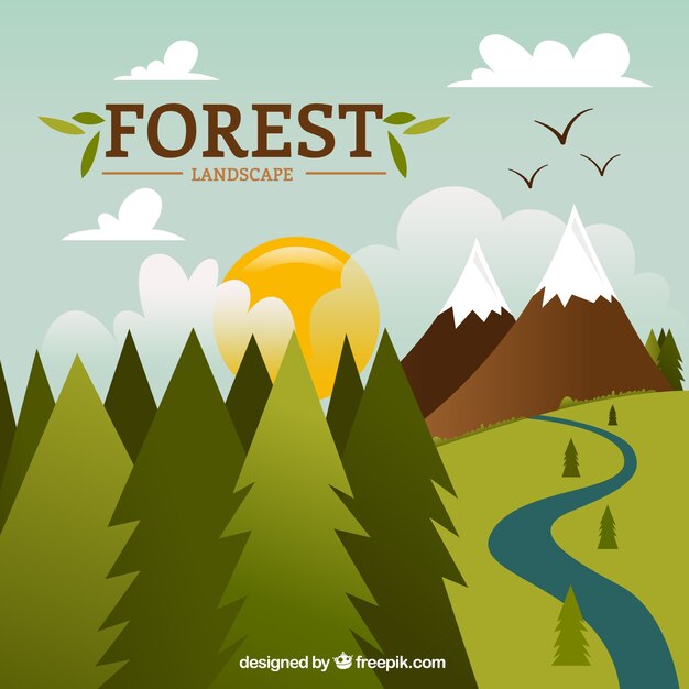 dibujadas a mano paisaje hermoso bosque