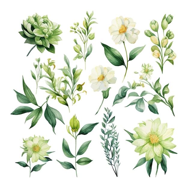 Dibujado a mano acuarela floral hojas ilustración clipart