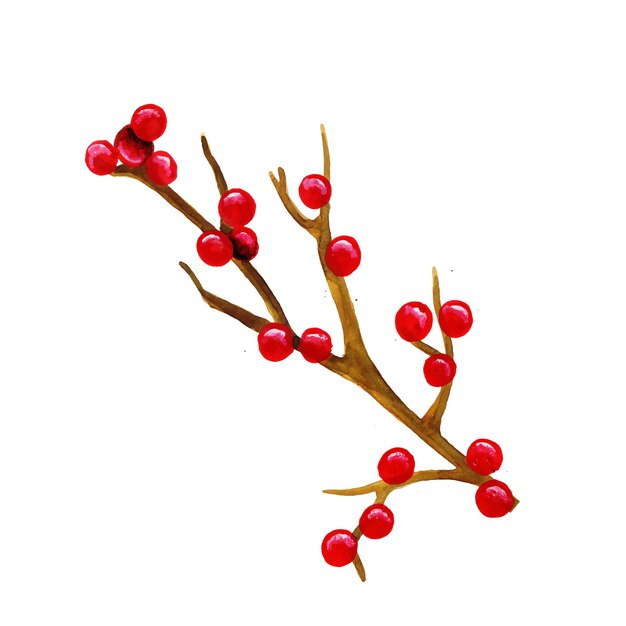 Dibujado a mano acuarela Navidad cereza