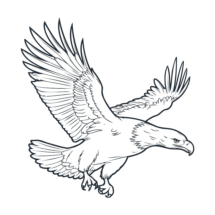Vector gratuito dibujado a mano águila volando dibujo ilustración