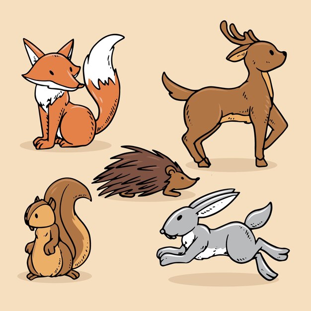 Dibujado a mano animales del bosque otoñal