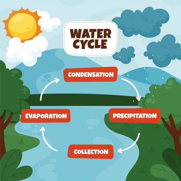 Dibujado a mano del ciclo del agua de diseño plano