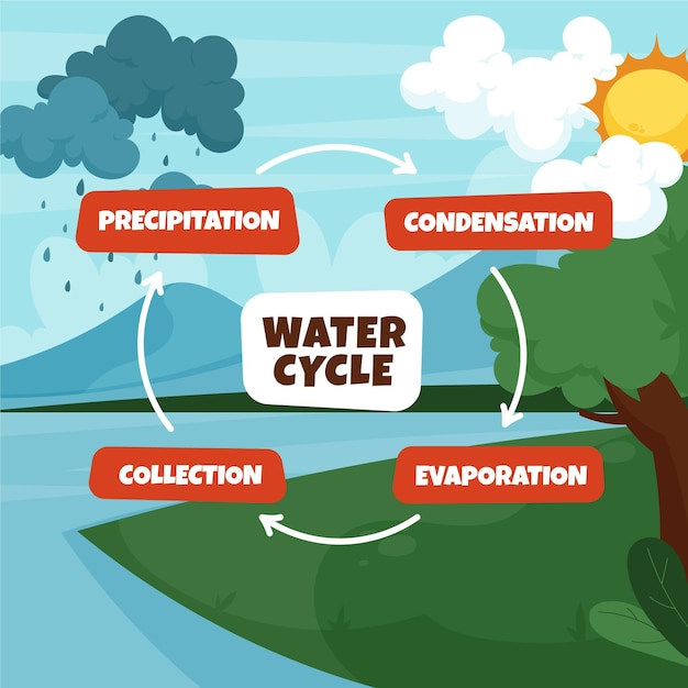 Dibujado a mano del ciclo del agua de diseño plano