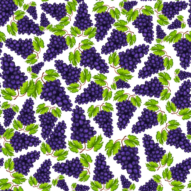 Dibujado a mano sin fisuras uvas naturales orgánicas frutas patrón dibujado a mano ilustración vectorial