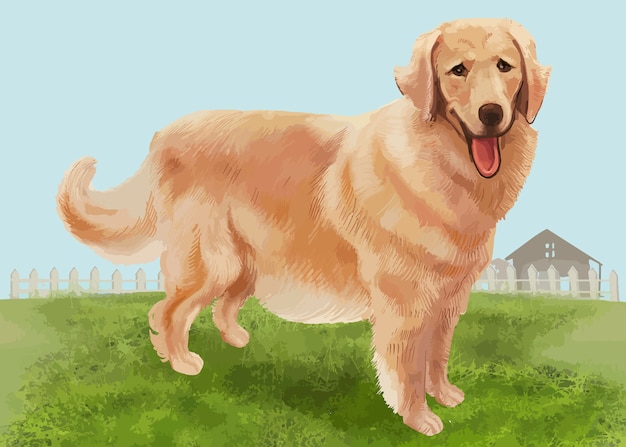 Vector gratuito dibujado a mano golden retriever