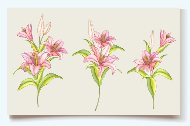 dibujado a mano hermosa ilustración de flores de lirio