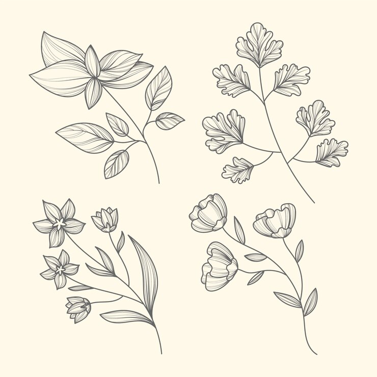 Vector gratuito dibujado a mano hierbas y flores