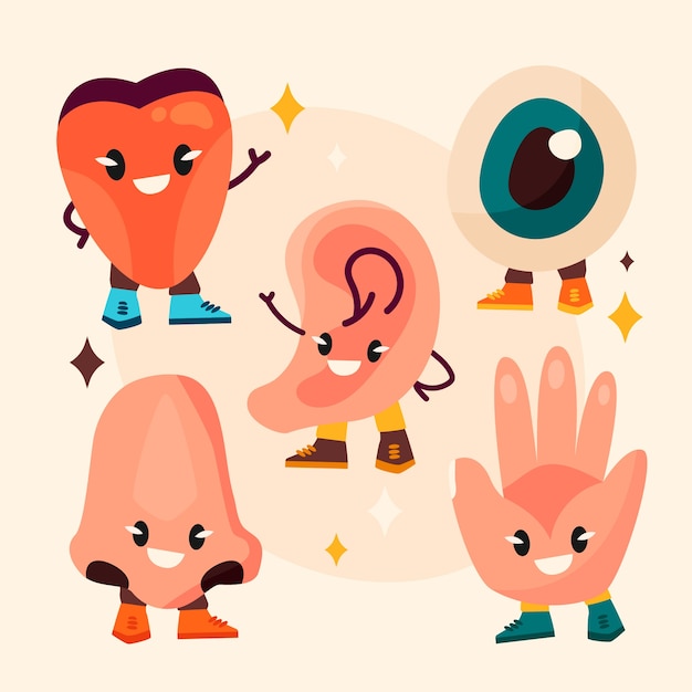 Dibujado a mano ilustración de 5 sentidos