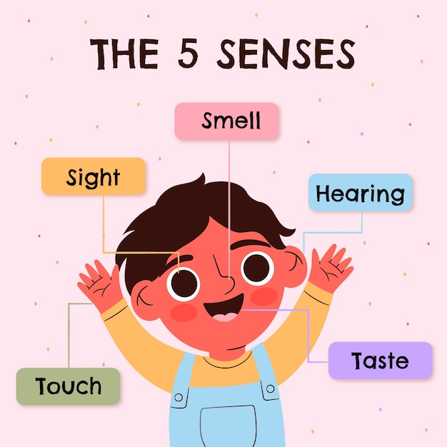 Dibujado a mano ilustración de 5 sentidos