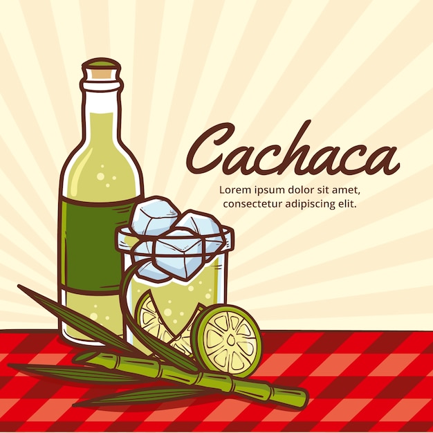 Dibujado a mano ilustración de cachaça fresca