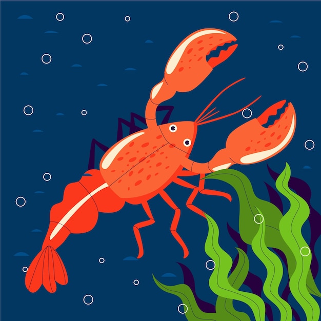 Dibujado a mano ilustración de cangrejo
