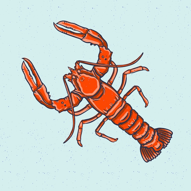 Dibujado a mano ilustración de cangrejo