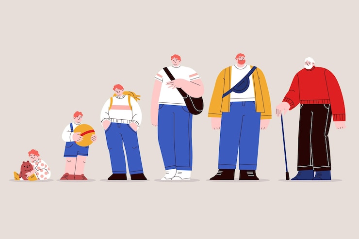 Vector gratuito dibujado a mano ilustración de ciclo de vida de diseño plano