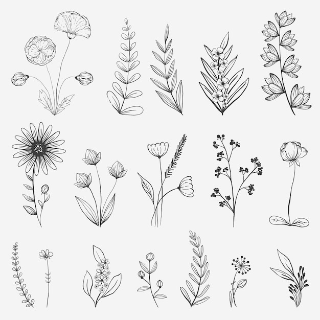 Dibujado a mano ilustración de colección de flores