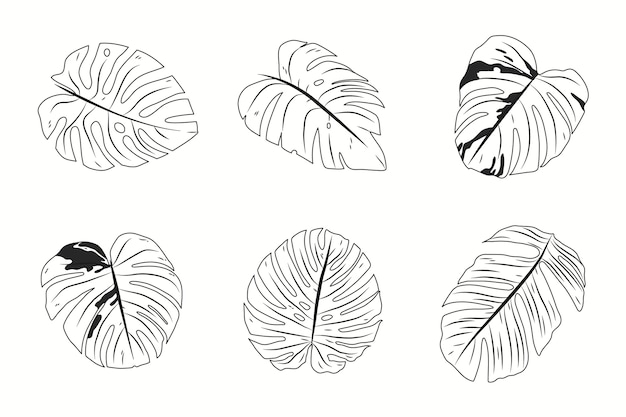 Vector gratuito dibujado a mano ilustración de contorno de hoja de monstera