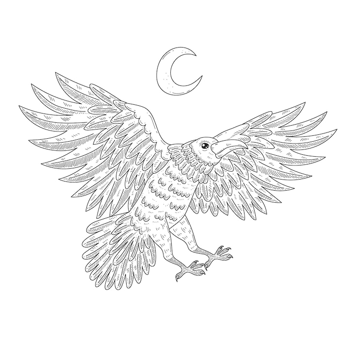 Vector gratuito dibujado a mano ilustración de dibujo volador de cuervo