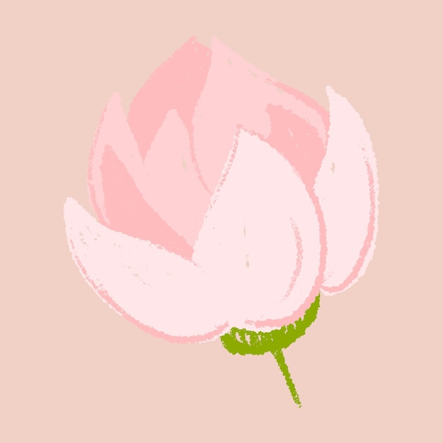 Dibujado a mano ilustración de flor de loto rosa