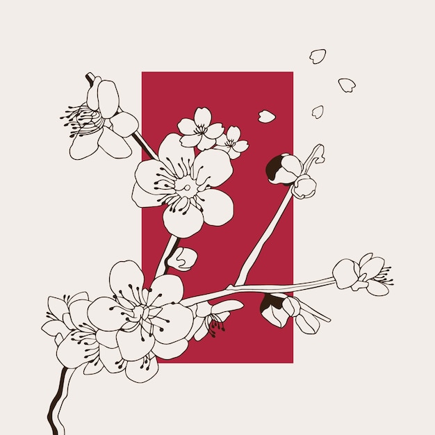 Dibujado a mano ilustración japonesa de flores de cerezo