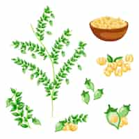 Vector gratuito dibujado a mano ilustración de plantas y garbanzos