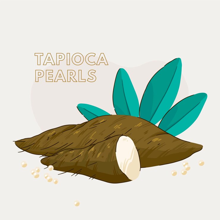 Vector gratuito dibujado a mano ilustración de tapioca