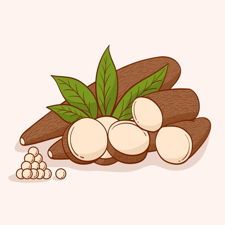 Vector gratuito dibujado a mano ilustración de tapioca