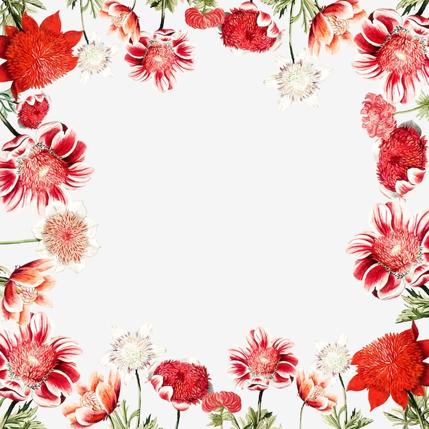Dibujado a mano marco de flor de anémona roja con espacio de diseño