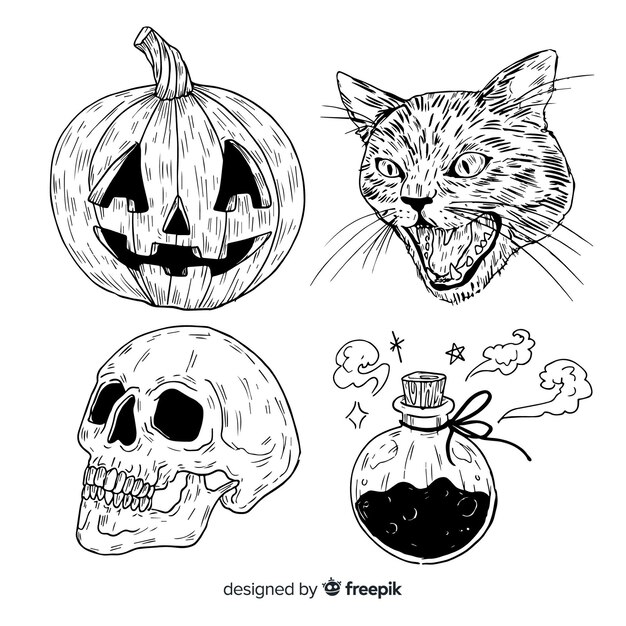 Dibujado a mano realista colección de elementos de halloween