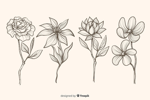 Dibujado a mano realista flores y hojas