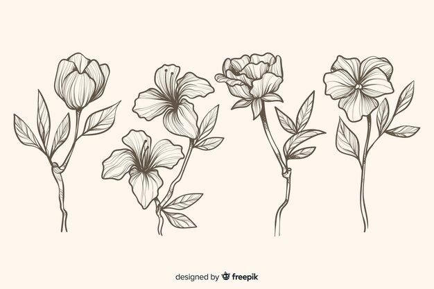 Dibujado a mano realista flores y hojas