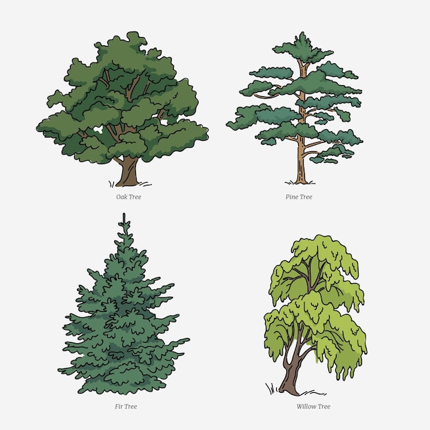 Dibujado a mano tipo de colección de árboles