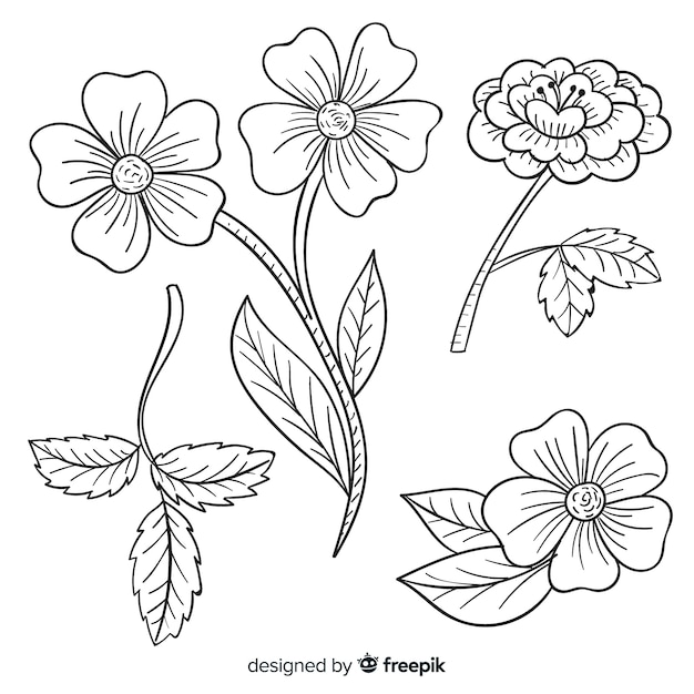 Dibujado a mano variedad retro de flores