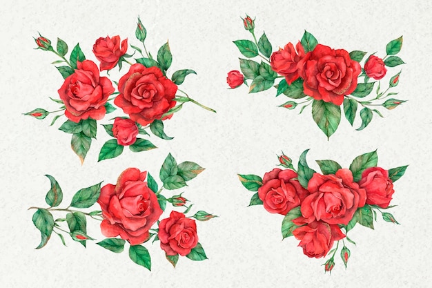 Dibujado a mano vector conjunto de flor rosa roja