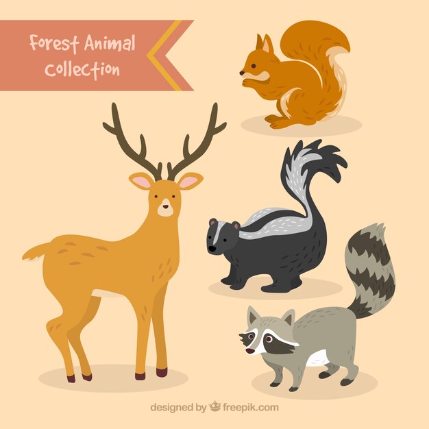 dibujados a mano animales precioso boscoso