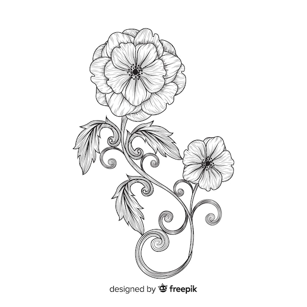 Dibujados a mano flores barrocas.
