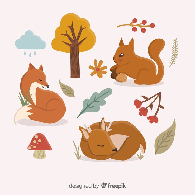 Dibujados a mano otoño animales del bosque