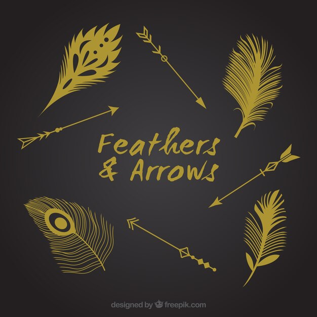 dibujados a mano plumas y flechas fijados