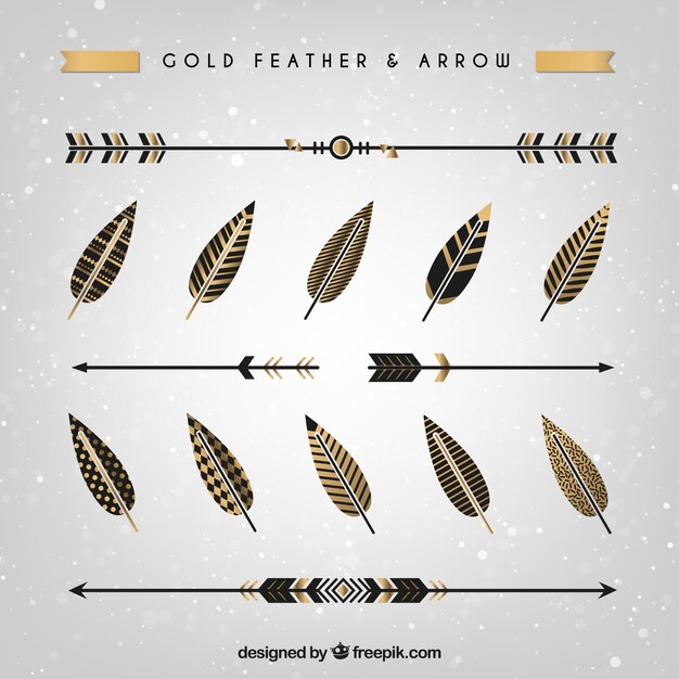 dibujados a mano plumas de oro y flechas