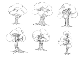 Dibujo de árbol