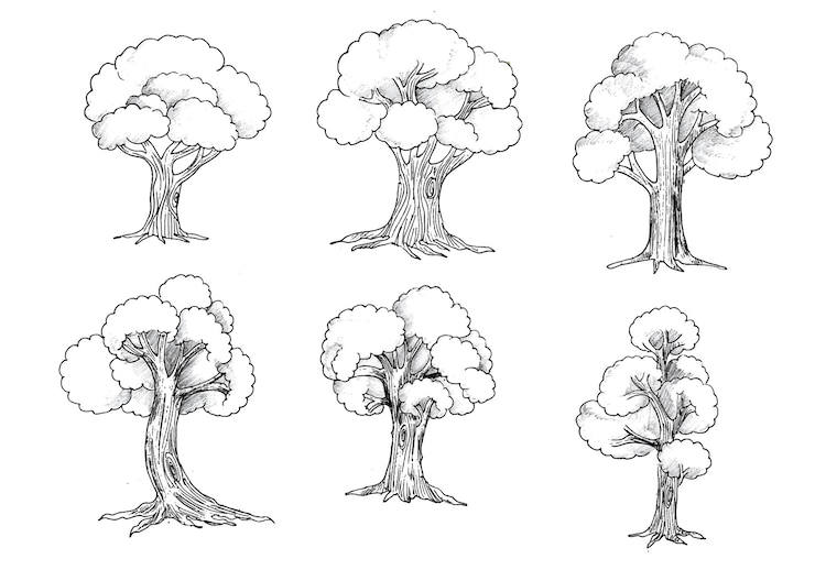 Vector gratuito dibujar a mano árboles establecer boceto ilustración diseño