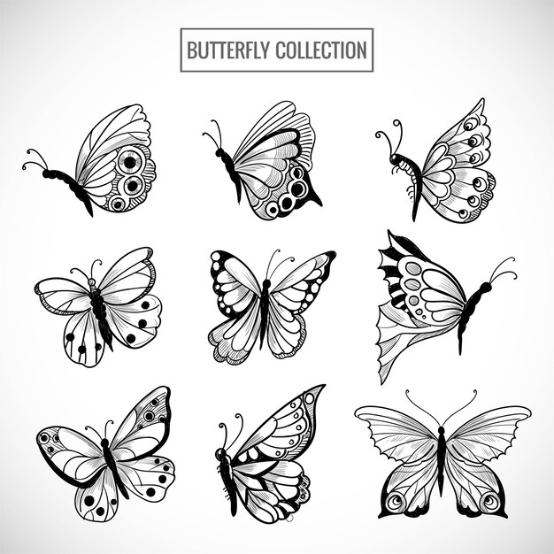 Dibujar a mano colección de bonito diseño de mariposas