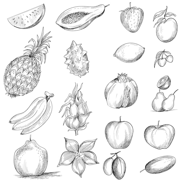 Dibujar a mano colección frutas bosquejo sobre fondo blanco.