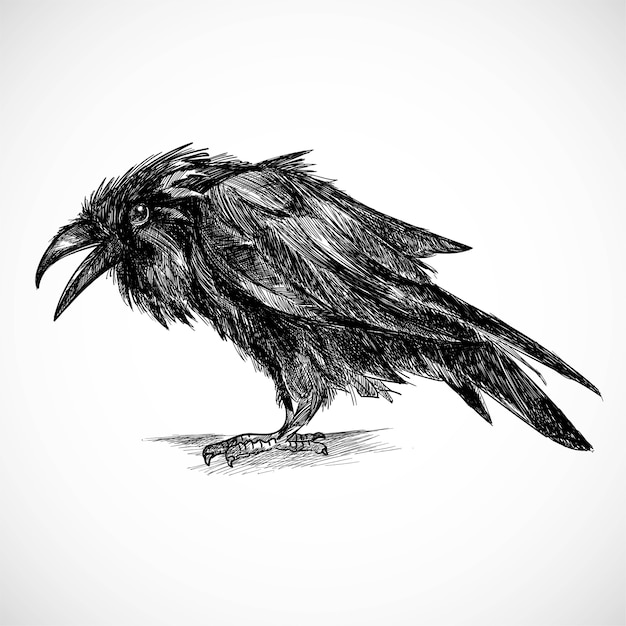 Dibujar a mano diseño de boceto de cuervo