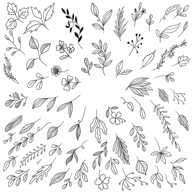 Dibujar a mano floral hoja bosquejo conjunto de antecedentes