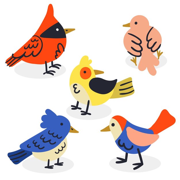 Dibujo de colección de aves